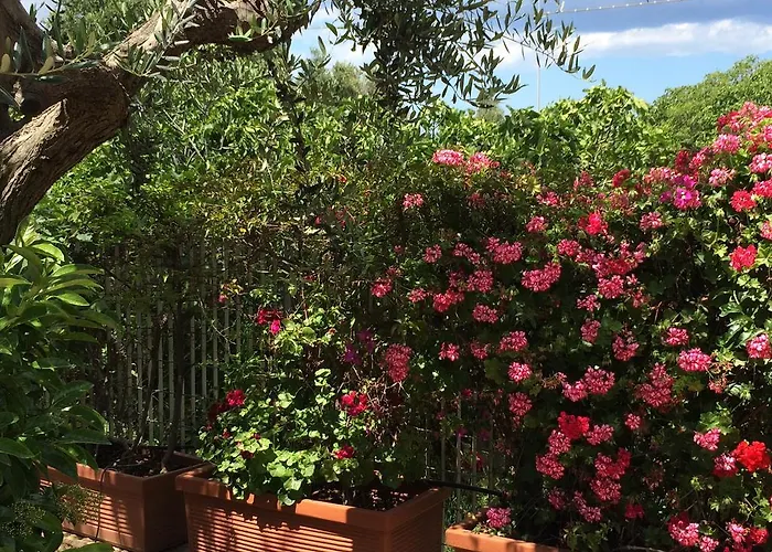 Guest house Amoredimare In 4*