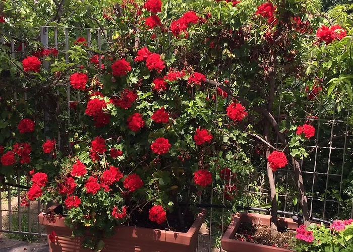 Amoredimare In Polignano a Mare