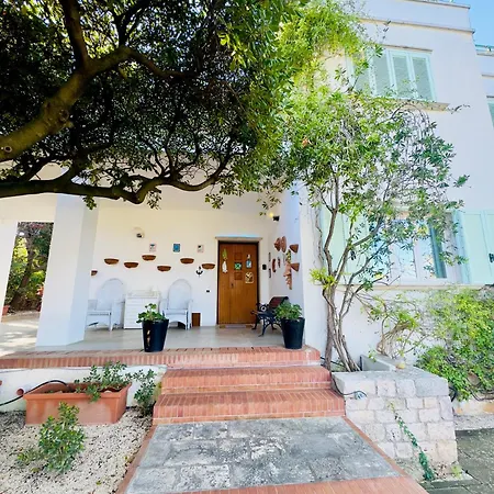 Amoredimare In Πανσιόν