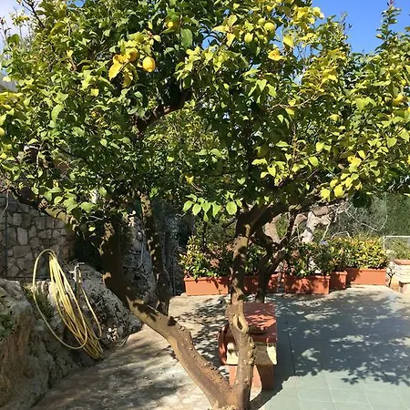 Amoredimare In Pensjonat