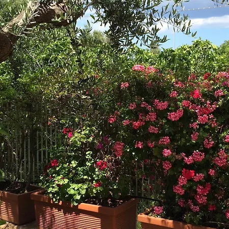 Gæstehus Amoredimare In 4*