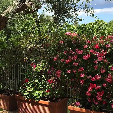 Guest house Amoredimare In 3*