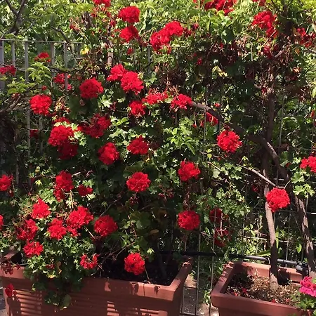 Amoredimare In Polignano a Mare