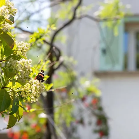 Amoredimare In Polignano a Mare