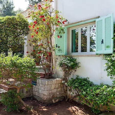 Gæstehus Amoredimare In