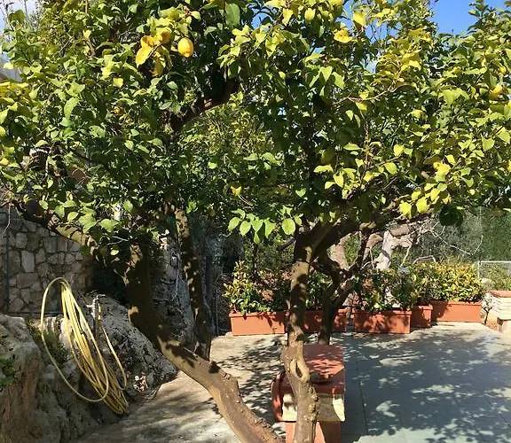 Amoredimare In 招待所