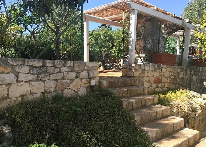 招待所 Amoredimare In