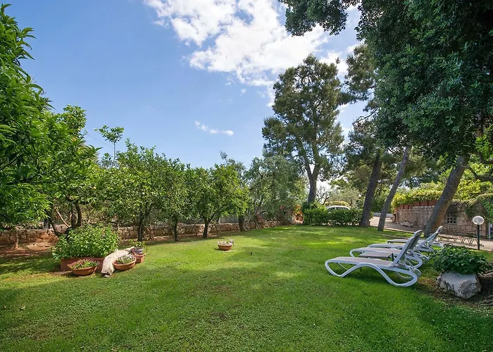 Amoredimare In 滨海波利尼亚诺