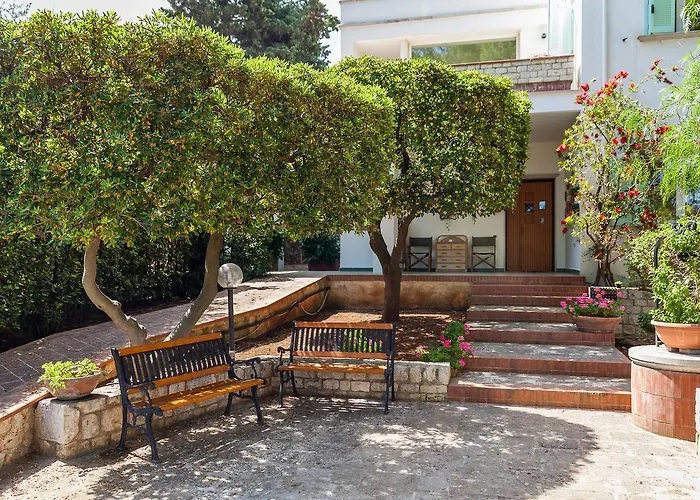 Amoredimare In 招待所