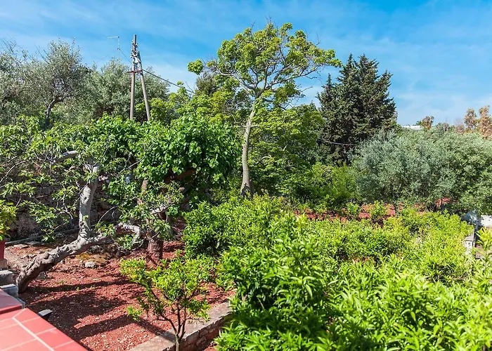 Amoredimare In 4* 滨海波利尼亚诺